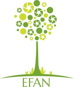 original-logos-2014-Dec-6505-2454696