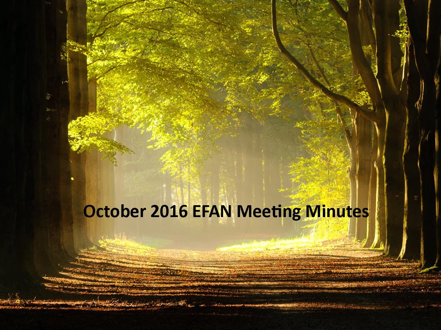 October 2016 Minutes.png